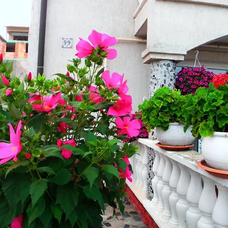 Lejlighedshotel Kristaly