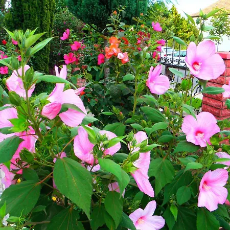 Lejlighedshotel Kristaly Hévíz